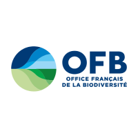 OFB