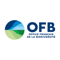 OFB